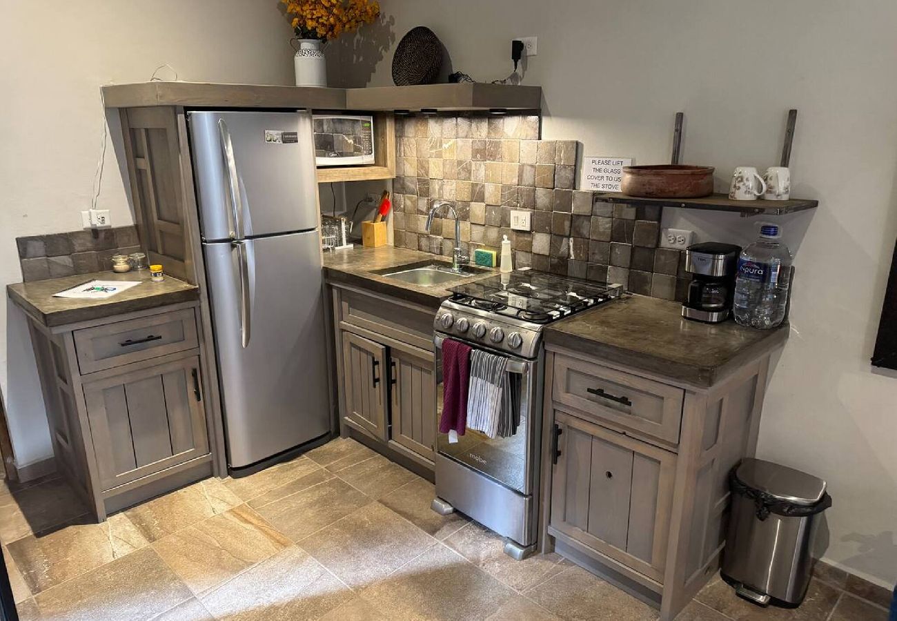 Apartamento en San Miguel de Allende - Casita York #1