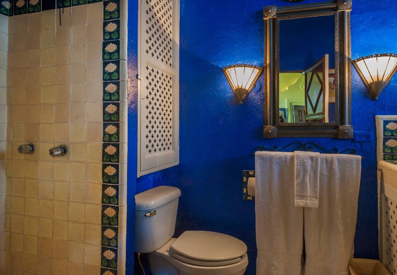 House in San Miguel de Allende - Casa Magnifica