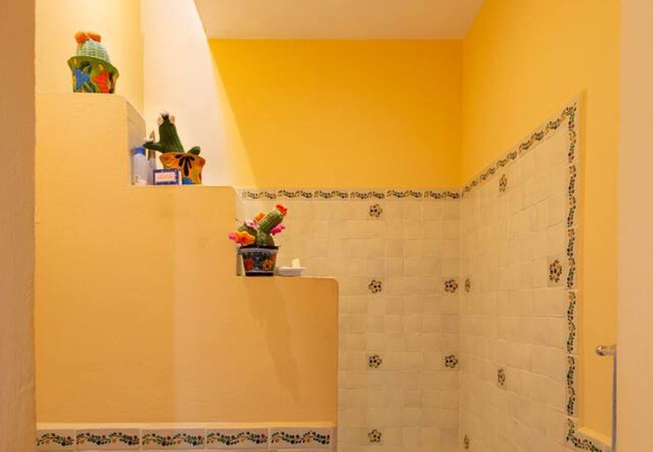 House in San Miguel de Allende - Casa Irena