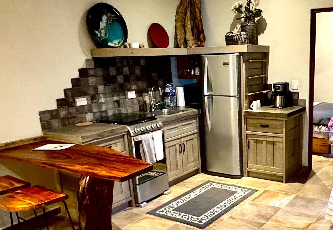 Apartment in San Miguel de Allende - Casita York #2
