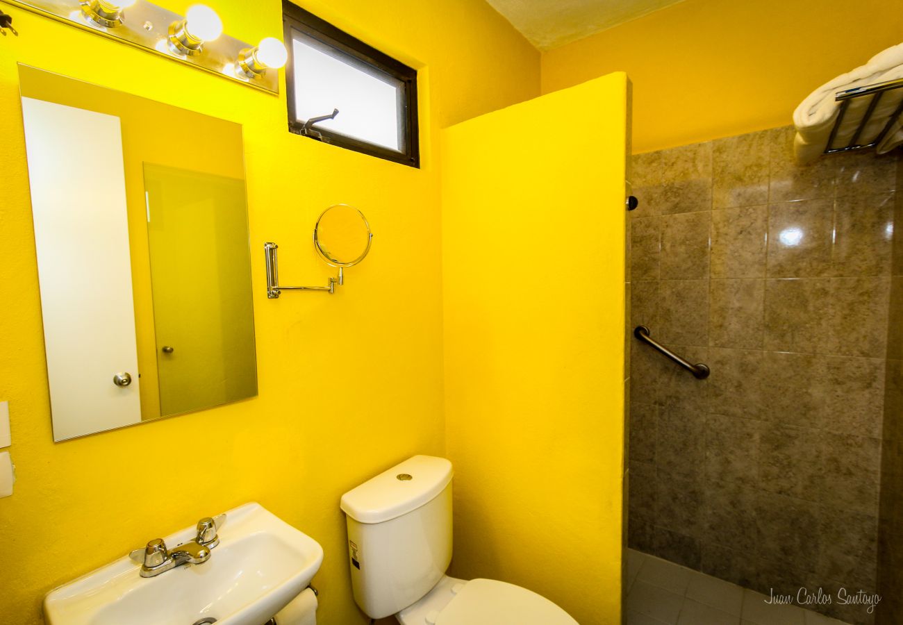 House in San Miguel de Allende - Casa Alix