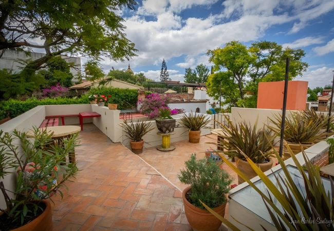 House in San Miguel de Allende - Casa Junipero