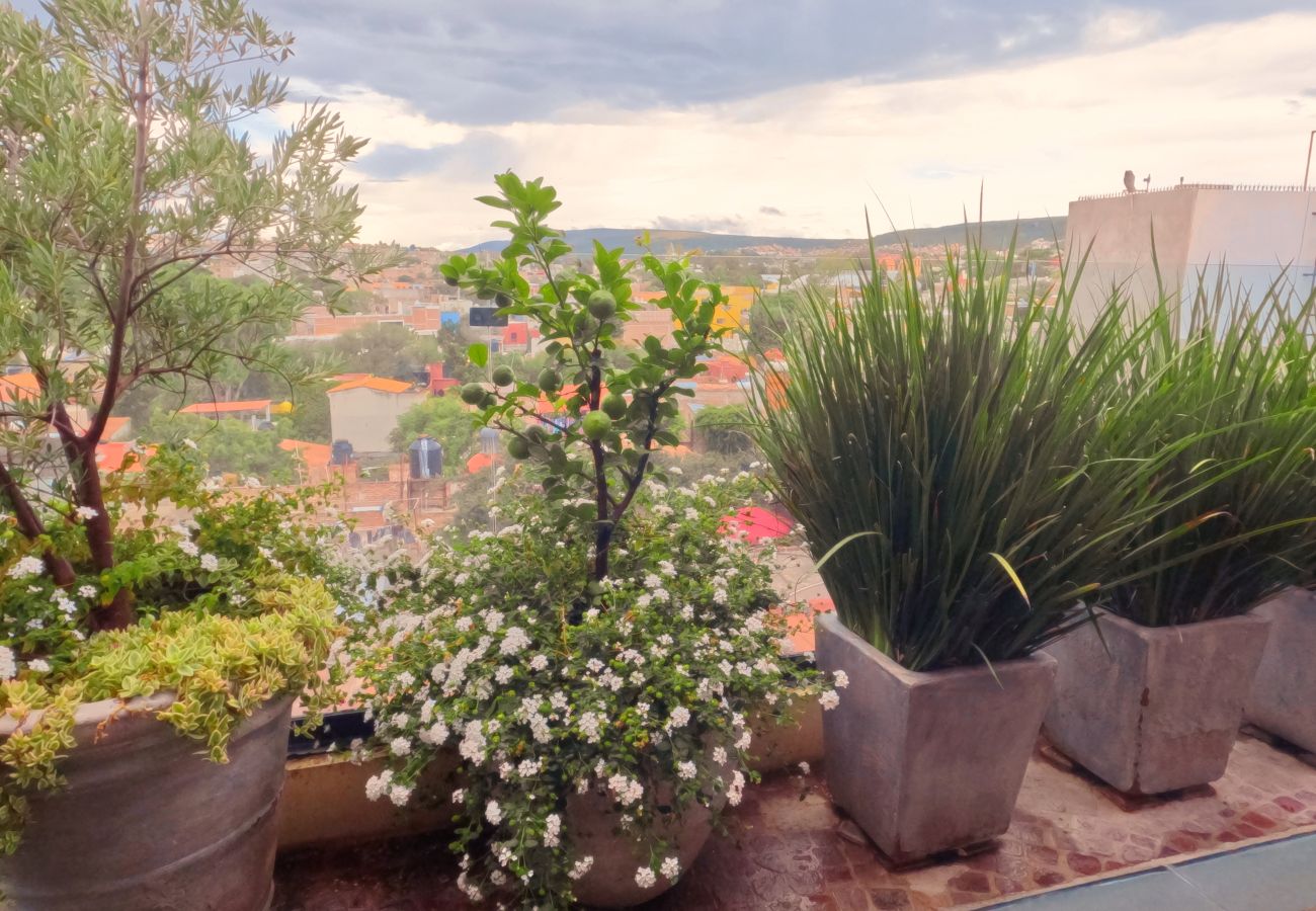 House in San Miguel de Allende - Casa Luna Y Conejo