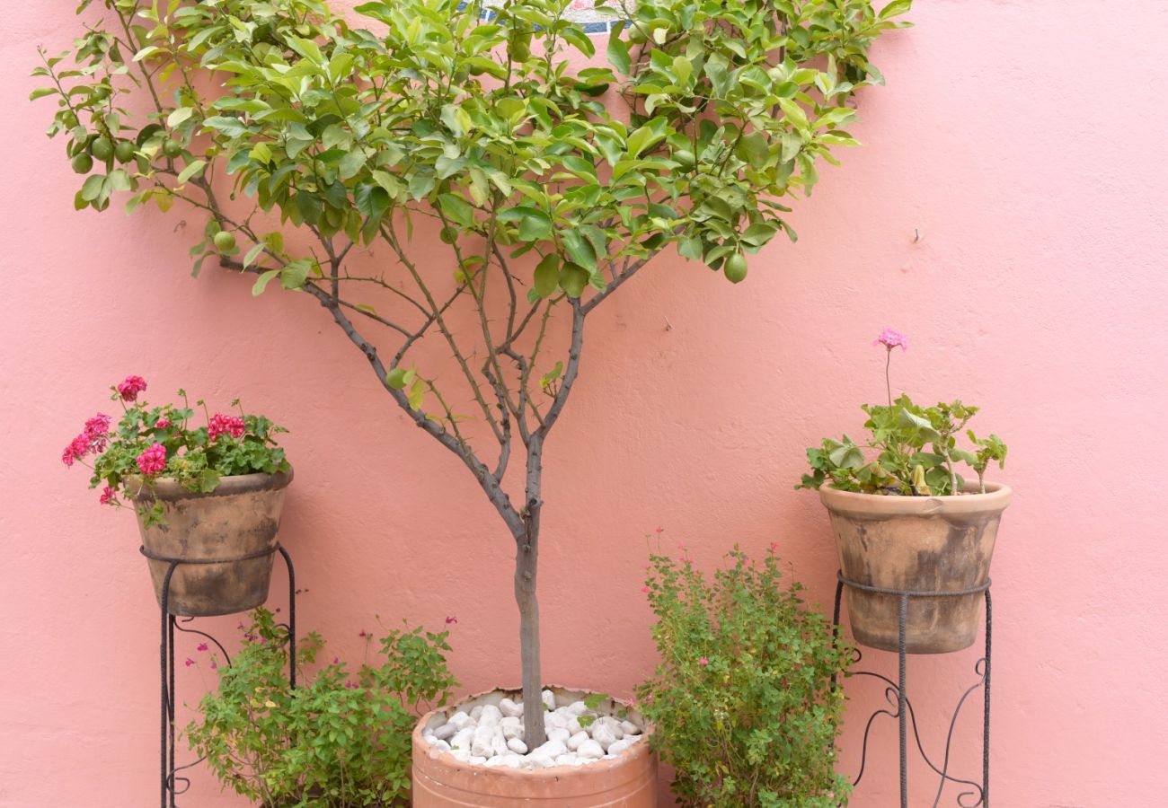 House in San Miguel de Allende - Casa La Escondida