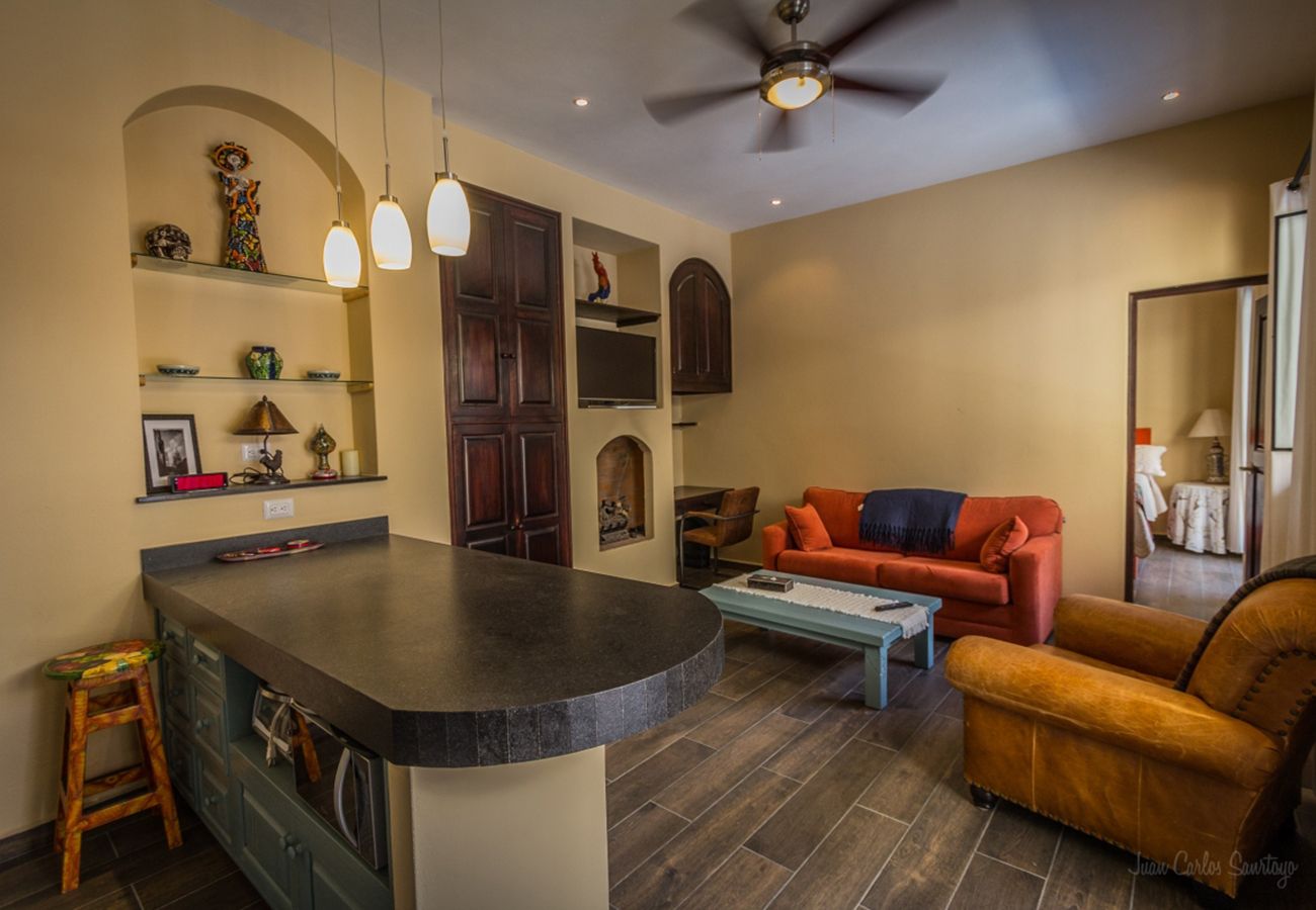 House in San Miguel de Allende - Casa Julanne